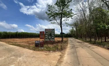 出售 土地 在 Mueang Krabi, Krabi