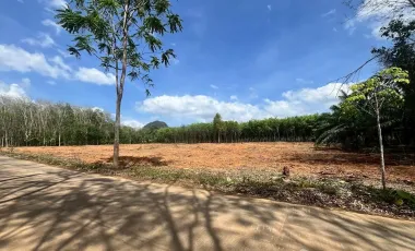 出售 土地 在 Mueang Krabi, Krabi