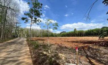 出售 土地 在 Mueang Krabi, Krabi