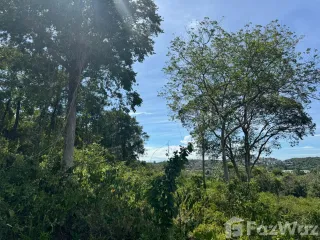 For sale land in Ko Samui, Surat Thani