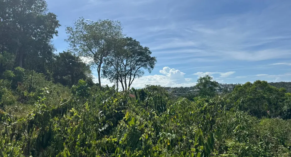 For sale land in Ko Samui, Surat Thani