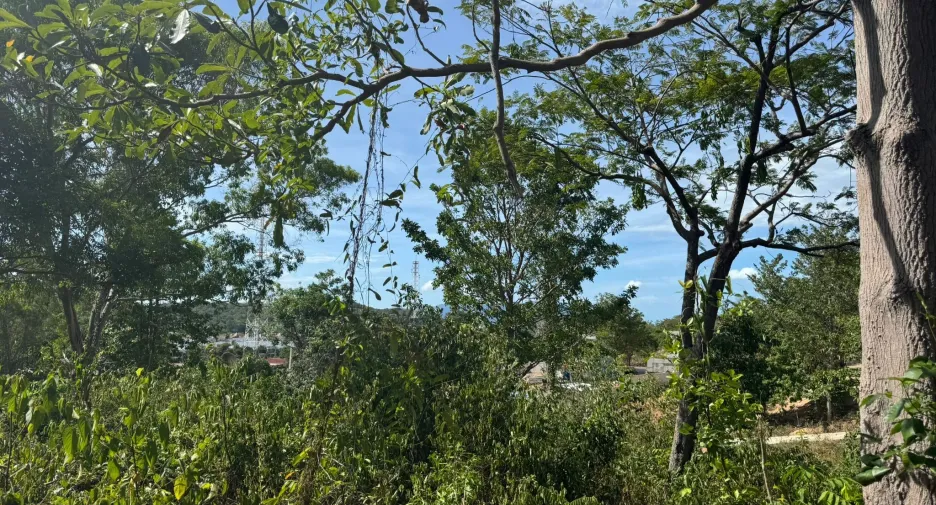 For sale land in Ko Samui, Surat Thani