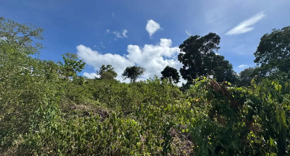 For sale land in Ko Samui, Surat Thani