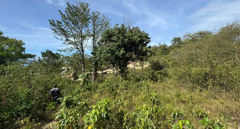 For sale land in Ko Samui, Surat Thani