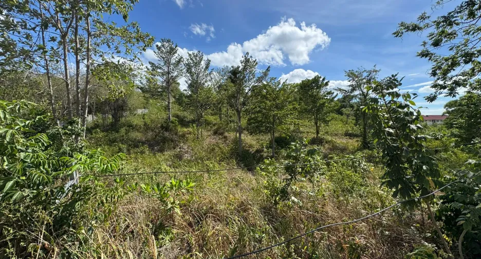 For sale land in Ko Samui, Surat Thani