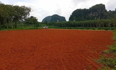 出售 土地 在 Mueang Krabi, Krabi