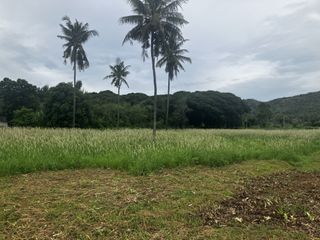 For sale land in Pran Buri, Prachuap Khiri Khan