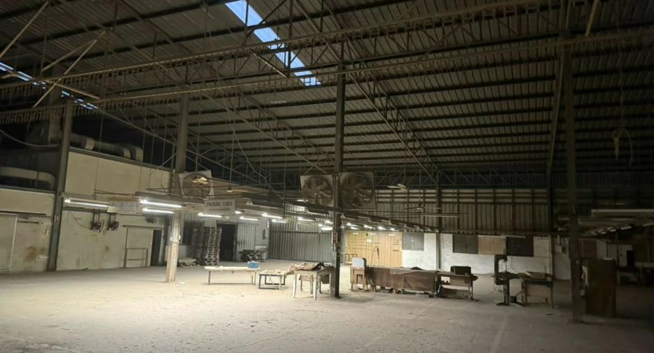 出售 土地 在 Ko Chan, Chon Buri