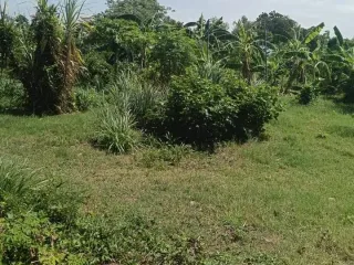 Terreno en venta en Bang Lamung, Chonburi