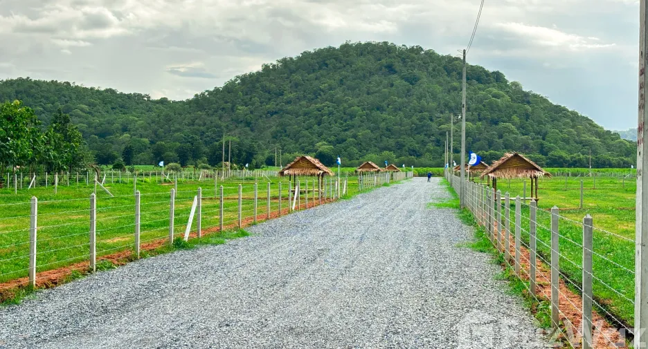 For sale land in U Thong, Suphan Buri