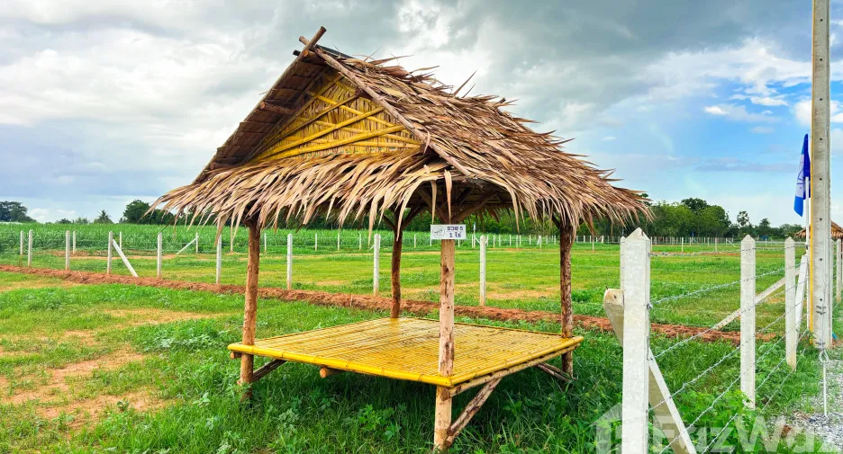 For sale land in U Thong, Suphan Buri