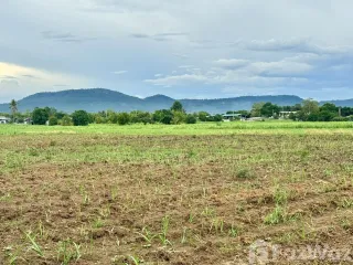 Grundstück zum Kauf in Pak Chong, Nakhon Ratchasima