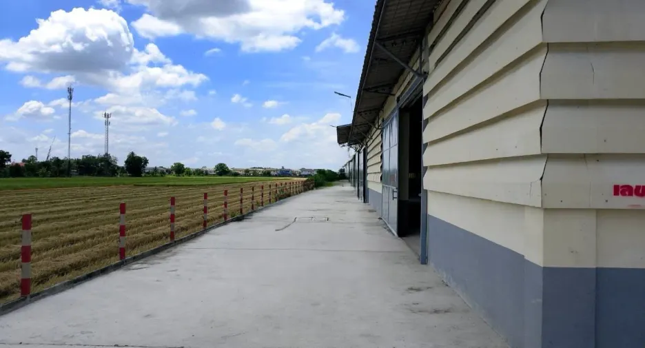 For rent studio house in Lam Luk Ka, Pathum Thani