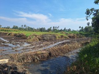 For sale 1 bed land in Nakhon Chai Si, Nakhon Pathom