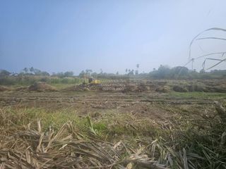 For sale 1 bed land in Nakhon Chai Si, Nakhon Pathom