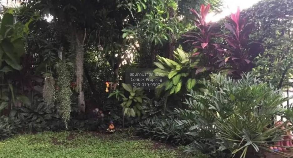 For sale 3 bedrooms house in Bang Bua Thong, Nonthaburi