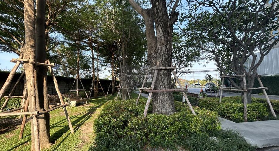 For sale 1 bed condo in Hua Hin, Prachuap Khiri Khan