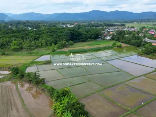 For sale land in Doi Saket, Chiang Mai