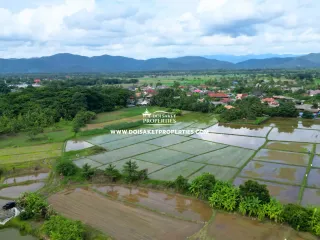 For sale land in Doi Saket, Chiang Mai