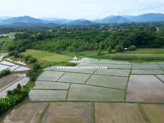 For sale land in Doi Saket, Chiang Mai