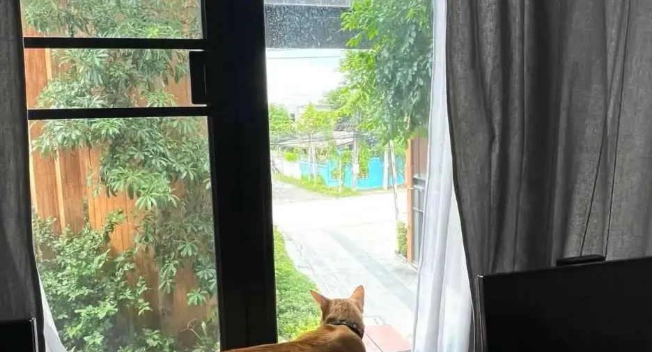 Reihenhaus zum Kauf und zur Miete mit 3 Zimmer in Pak Kret, Nonthaburi