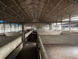 For sale 1 bed land in Sam Phran, Nakhon Pathom