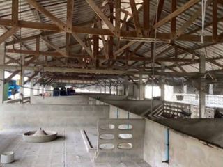 For sale 1 bed land in Sam Phran, Nakhon Pathom
