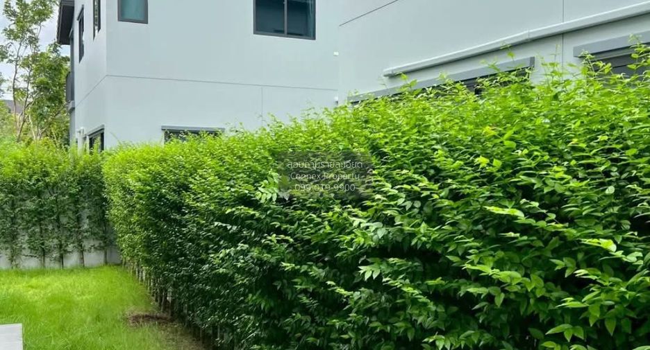 出租 4 卧室 独立屋 在 Bang Yai, Nonthaburi