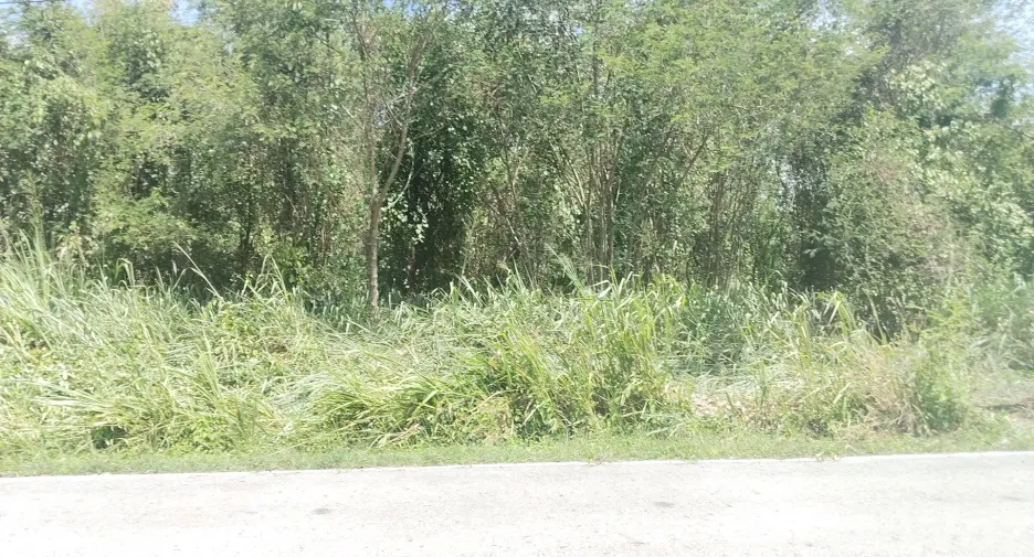 For sale land in Sattahip, Pattaya