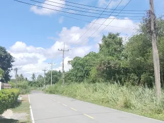 For sale land in Sattahip, Chonburi