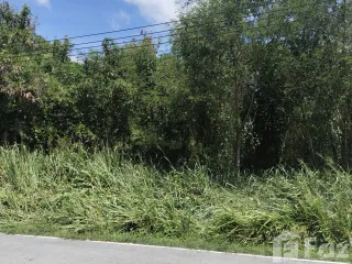 For sale land in Sattahip, Chonburi