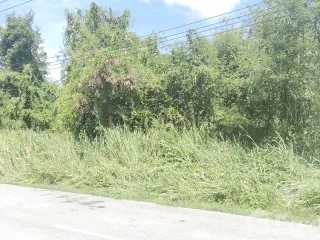 For sale land in Sattahip, Chonburi