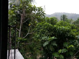For sale land in Ko Pha-ngan, Surat Thani