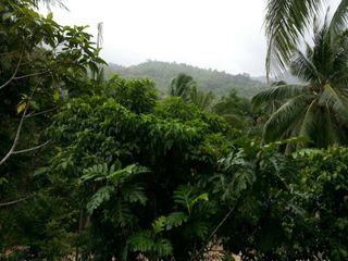 For sale land in Ko Pha-ngan, Surat Thani
