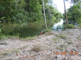 Grundstück zum Kauf in Takua Thung, Phang Nga