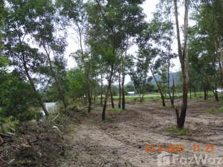 Grundstück zum Kauf in Takua Thung, Phang Nga