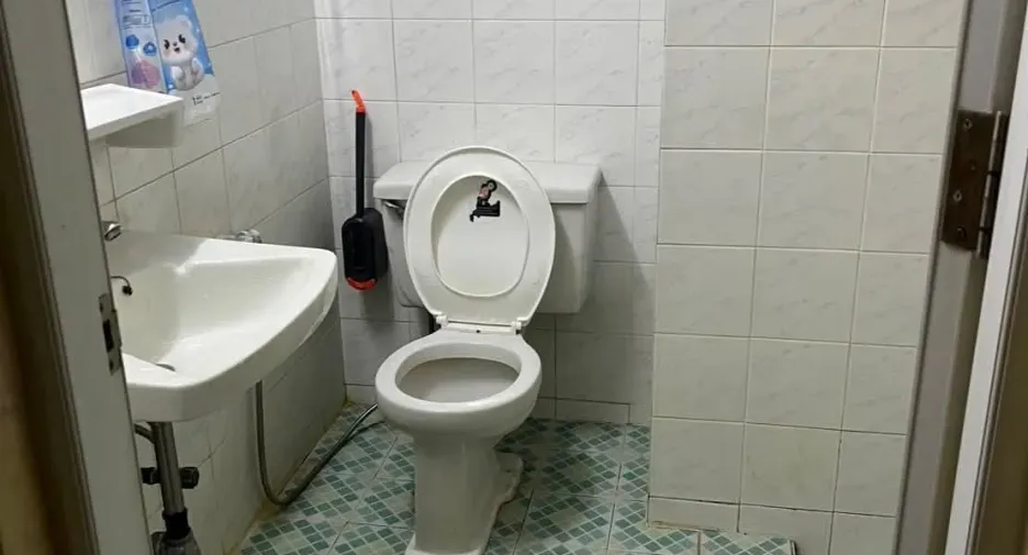 出租 公寓 公寓 在 Dusit, 曼谷