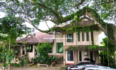For sale 3 ベッドルーム house in San Sai, Chiang Mai