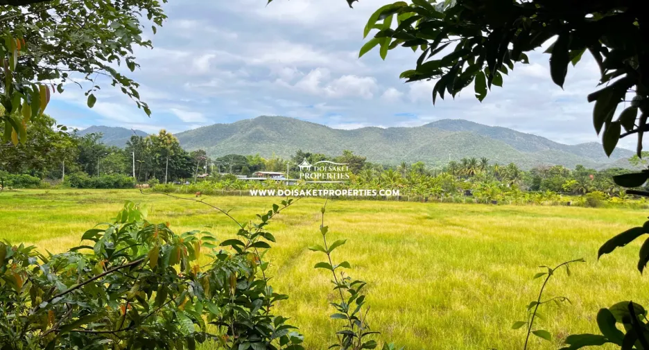 出售 3 卧室 独立屋 在 San Sai, Chiang Mai