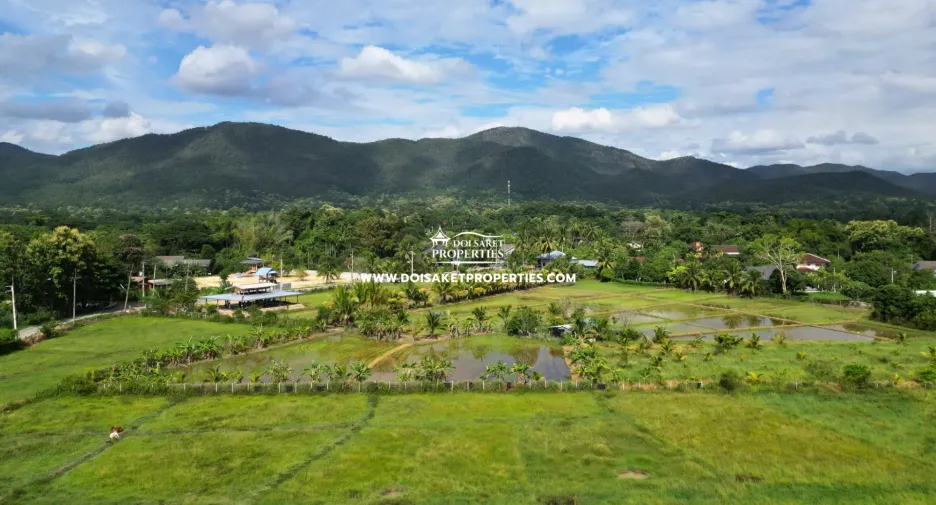 出售 3 卧室 独立屋 在 San Sai, Chiang Mai