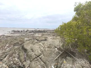 For sale land in Mueang Chon Buri, Chonburi