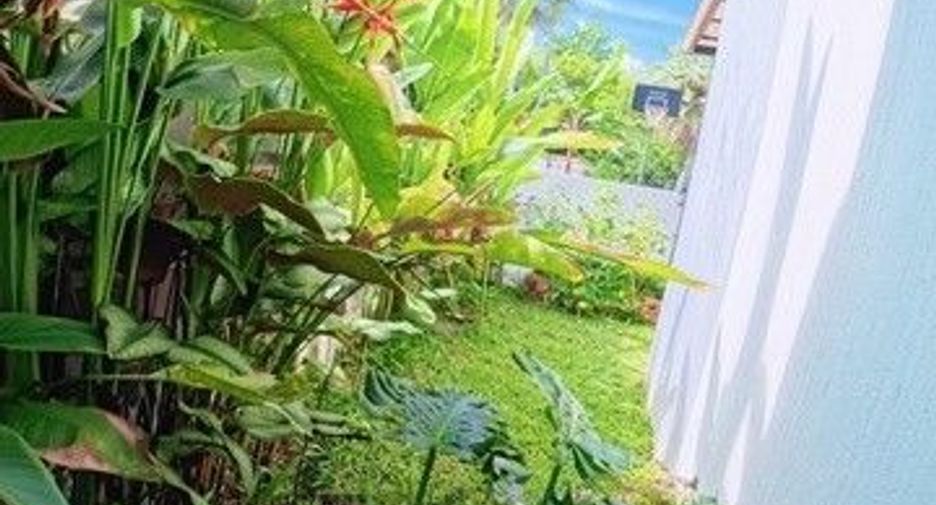 出售 3 卧室 独立屋 在 Mueang Chiang Mai, Chiang Mai