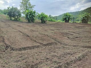 For sale land in Mae Wang, Chiang Mai
