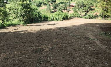出售 土地 在 Mae Wang, Chiang Mai