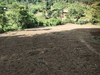 For sale land in Mae Wang, Chiang Mai