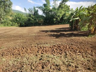 For sale land in Mae Wang, Chiang Mai