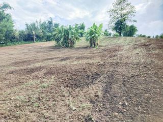 For sale land in Mae Wang, Chiang Mai