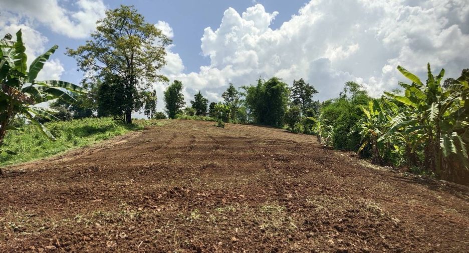 For sale land in Mae Wang, Chiang Mai