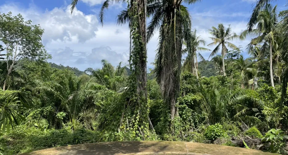 For sale land in Mueang Krabi, Krabi