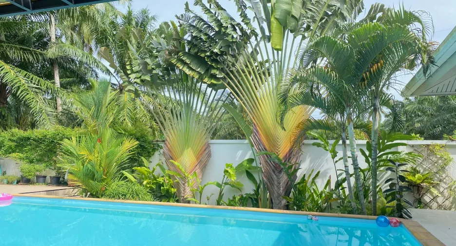 Продажа 2 спальни вилла в Khanom, Nakhon Si Thammarat
